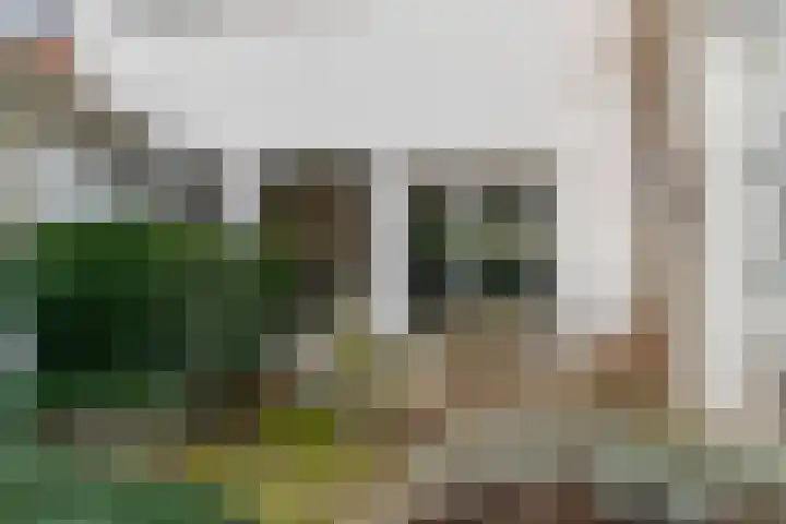 Scheveningselaan 148 Den Haag thumbnail 33