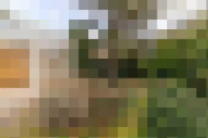 Scheveningselaan 148 Den Haag thumbnail 34