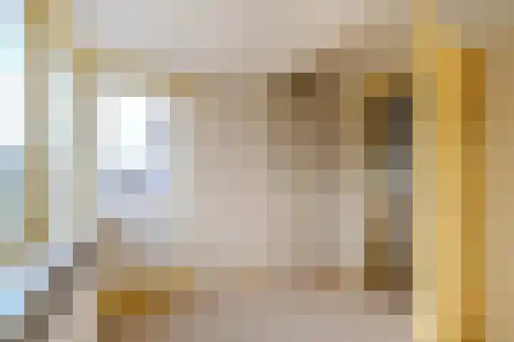 Scheveningselaan 148 Den Haag thumbnail 45