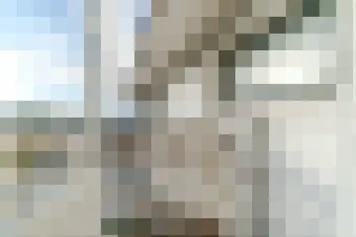 Scheveningselaan 148 Den Haag thumbnail 46
