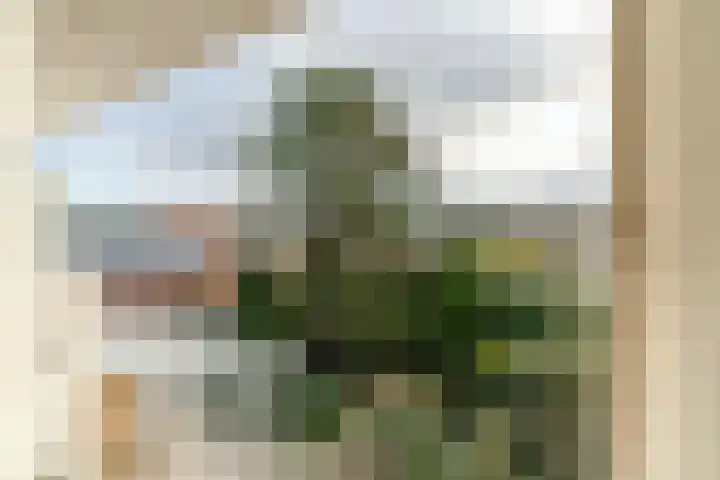 Scheveningselaan 148 Den Haag thumbnail 47