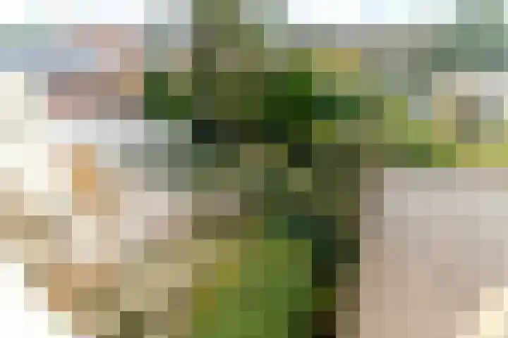 Scheveningselaan 148 Den Haag thumbnail 48