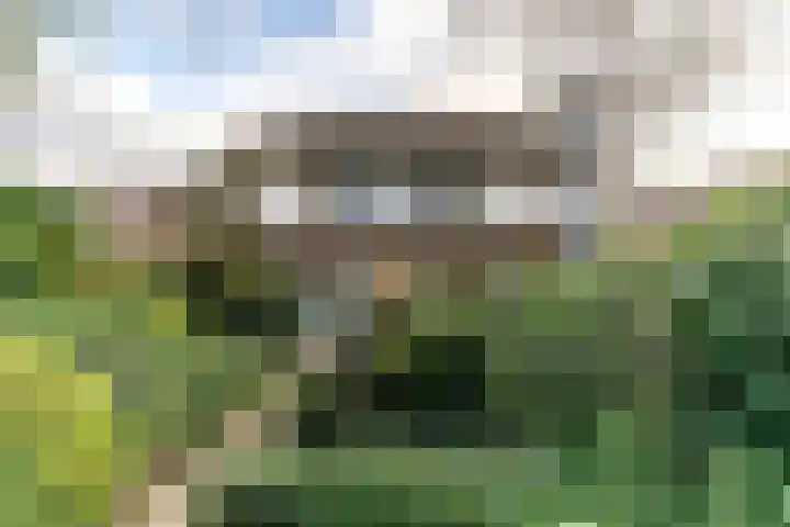 Scheveningselaan 148 Den Haag thumbnail 5