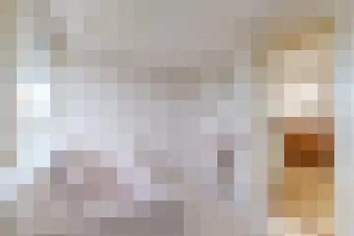 Scheveningselaan 148 Den Haag thumbnail 50