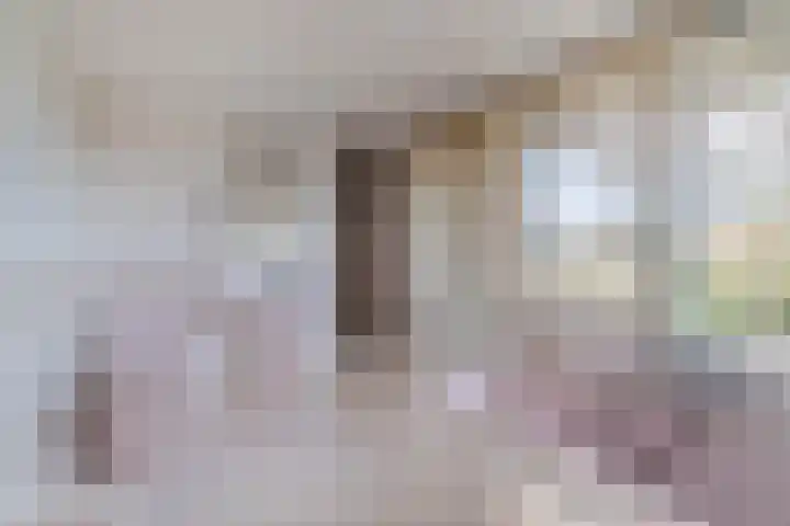 Scheveningselaan 148 Den Haag thumbnail 51