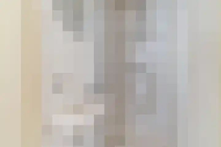 Scheveningselaan 148 Den Haag thumbnail 55