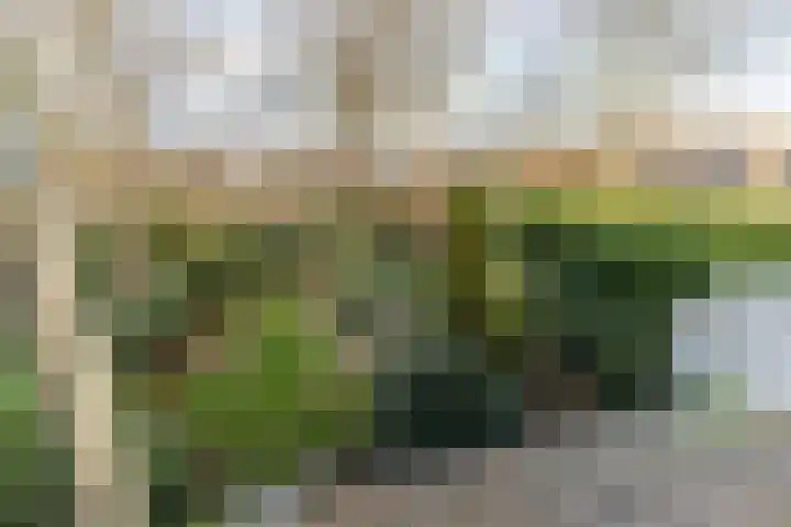 Scheveningselaan 148 Den Haag thumbnail 56