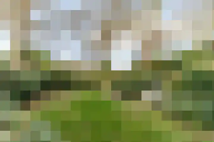 Scheveningselaan 148 Den Haag thumbnail 6