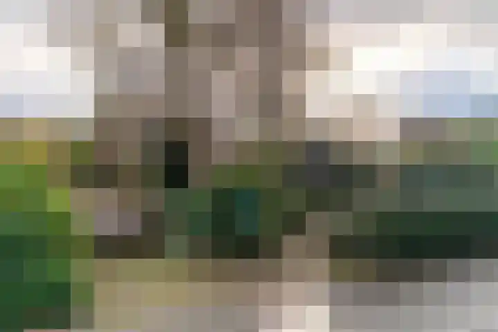 Scheveningselaan 148 Den Haag thumbnail 60