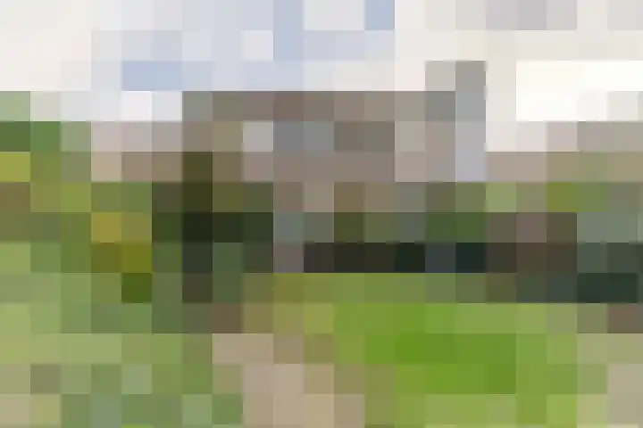 Scheveningselaan 148 Den Haag thumbnail 62