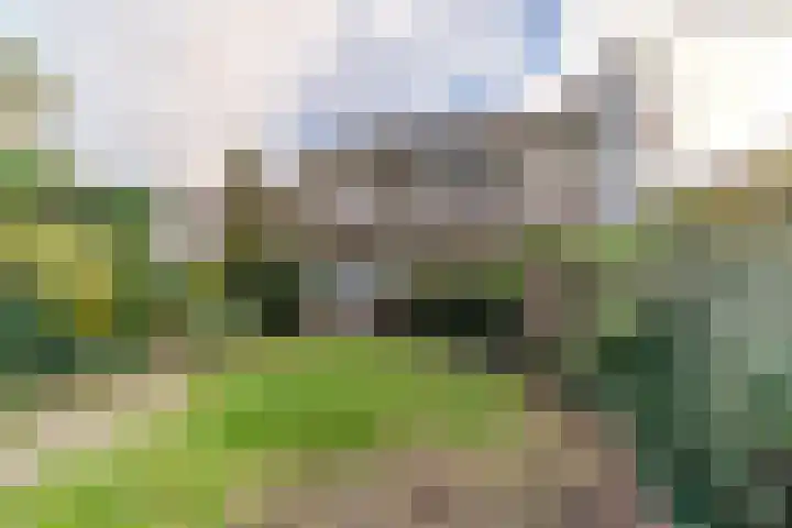 Scheveningselaan 148 Den Haag thumbnail 63
