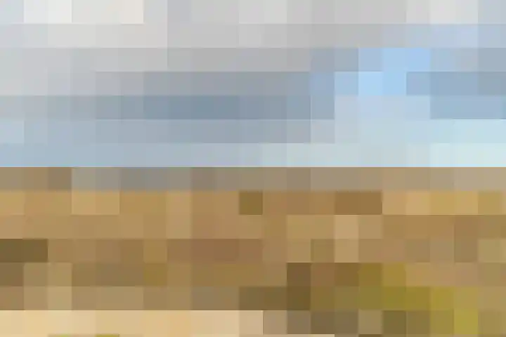 Scheveningselaan 148 Den Haag thumbnail 69