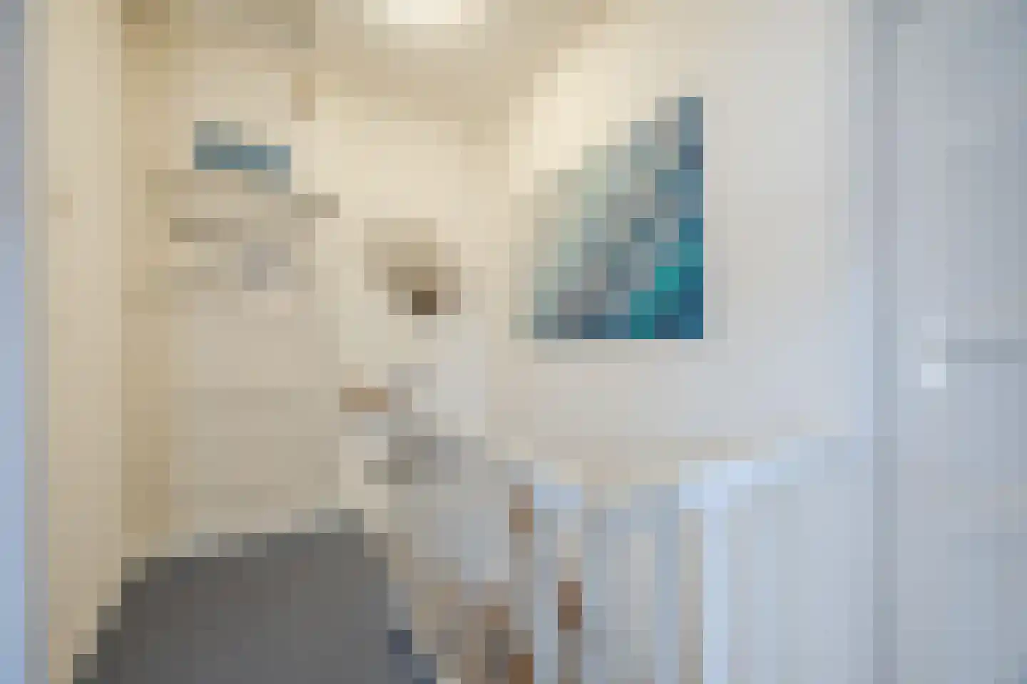 Scheveningseslag 111 Den Haag thumbnail 23