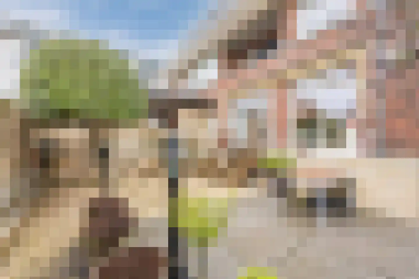 Scheveningseslag 111 Den Haag thumbnail 39