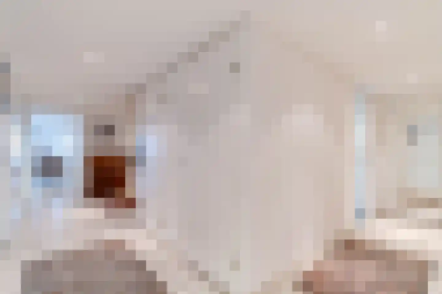 Scheveningseslag 37 Den Haag thumbnail 23