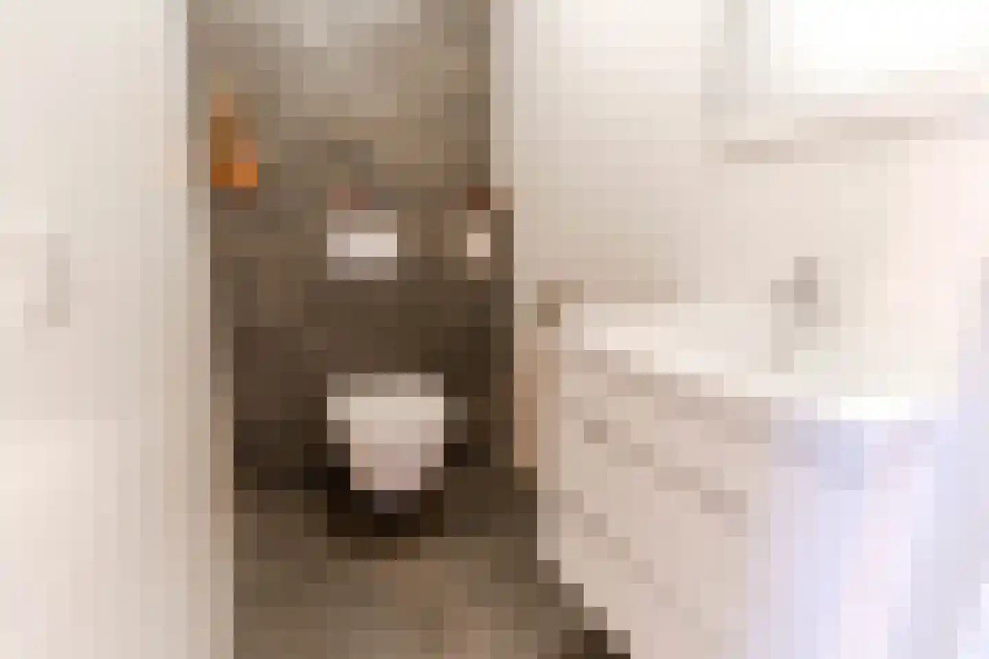 Scheveningseslag 37 Den Haag thumbnail 24