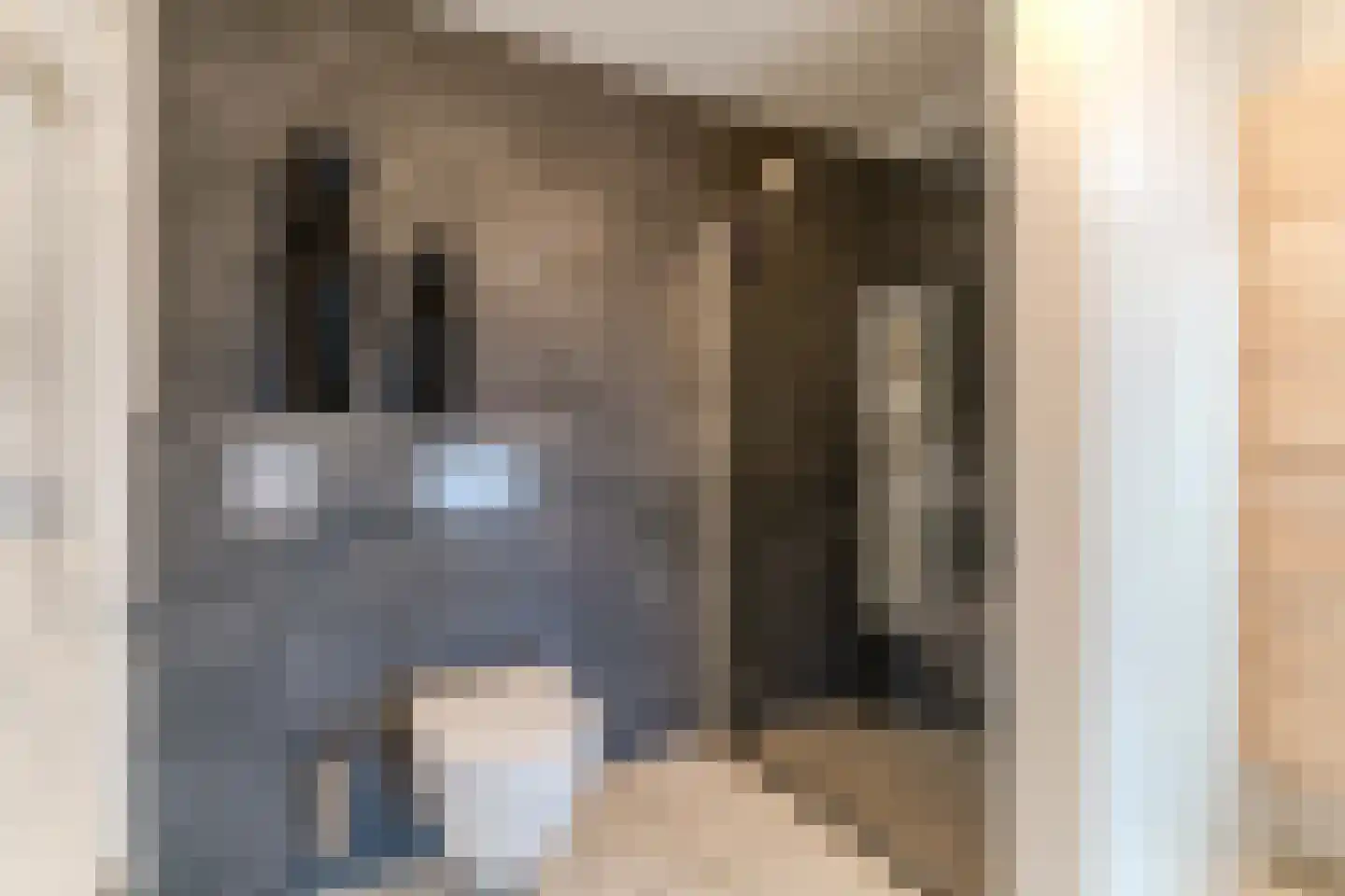 Scheveningseslag 37 Den Haag thumbnail 29