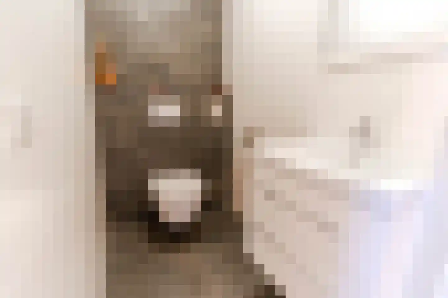 Scheveningseslag 37 Den Haag thumbnail 30