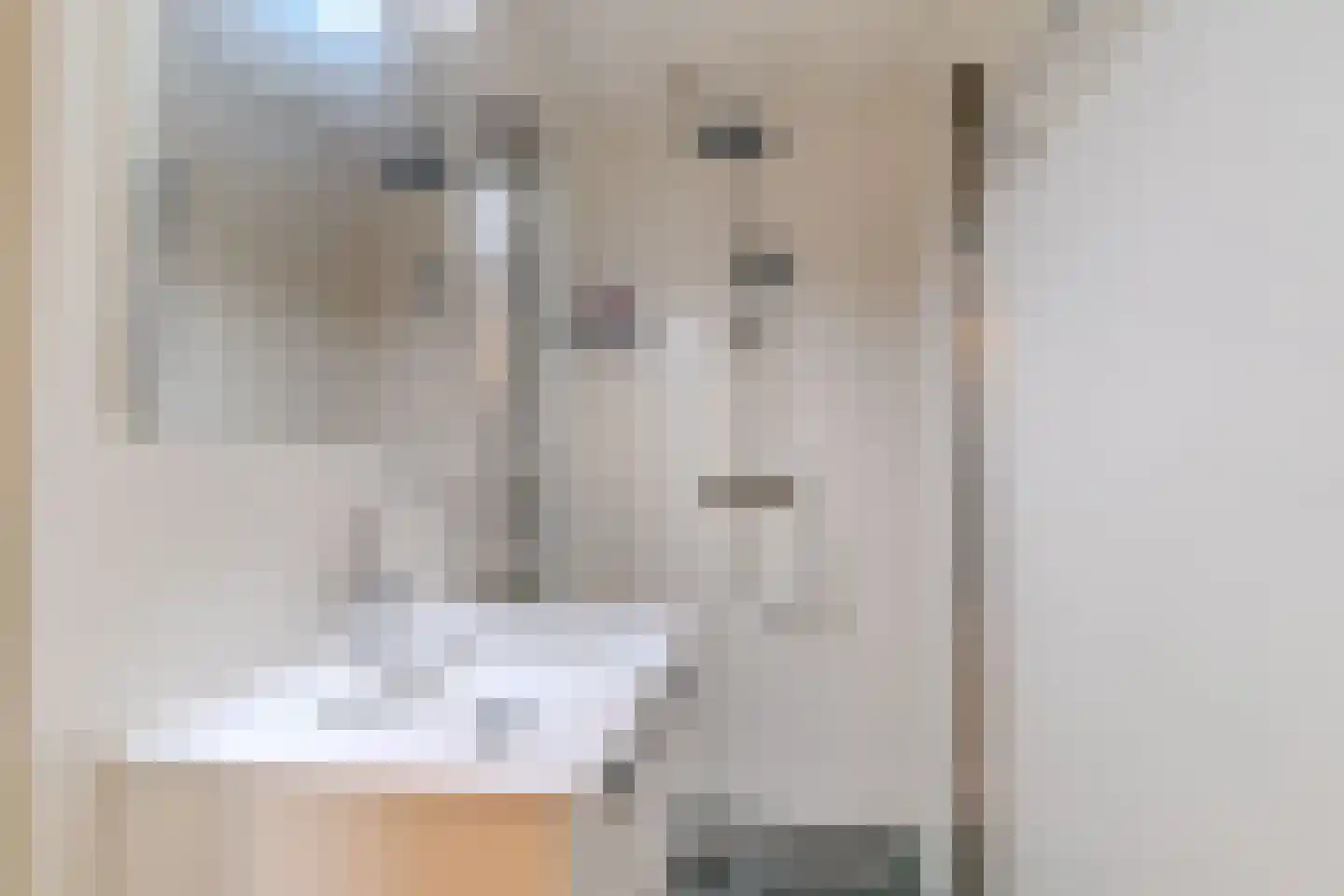 Scheveningseslag 37 Den Haag thumbnail 33