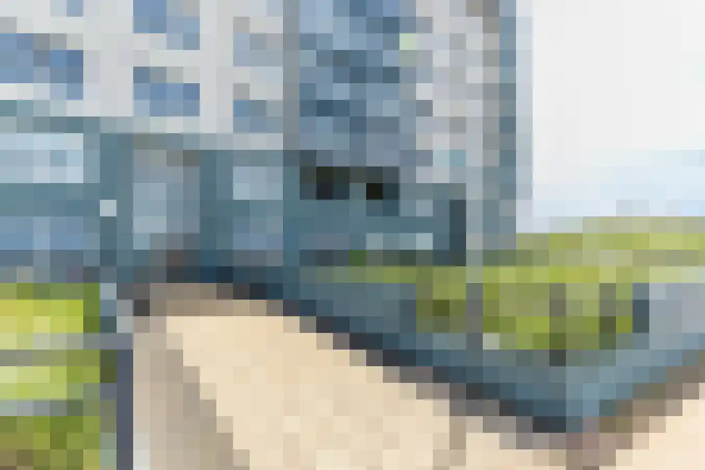 Scheveningseslag 37 Den Haag thumbnail 8