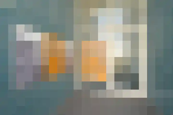 Scheveningseslag 87 Den Haag thumbnail 5