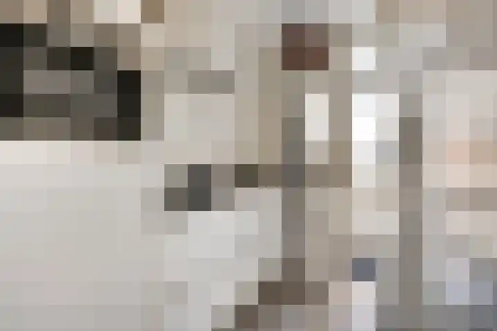 Scheveningsestraat 10 B Rotterdam thumbnail 12