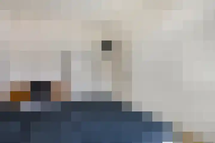 Scheveningsestraat 10 B Rotterdam thumbnail 18