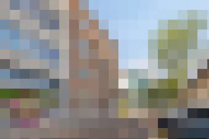 Scheveningsestraat 10 B Rotterdam thumbnail 21