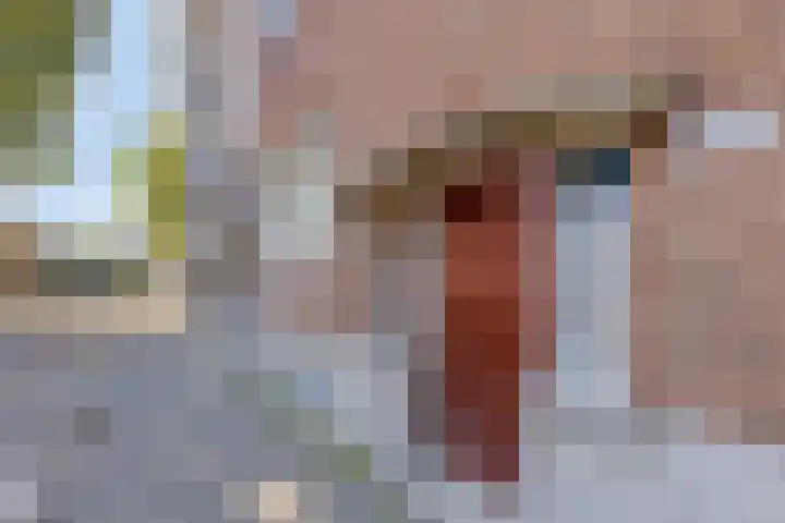 Scheveningsestraat 10 B Rotterdam thumbnail 23