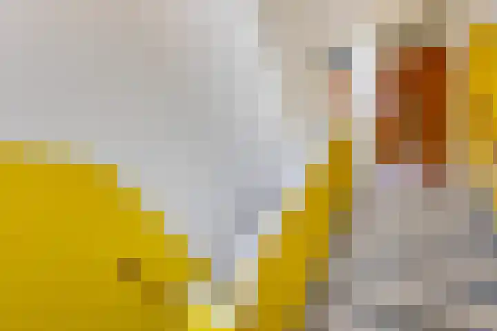 Scheveningsestraat 10 B Rotterdam thumbnail 25