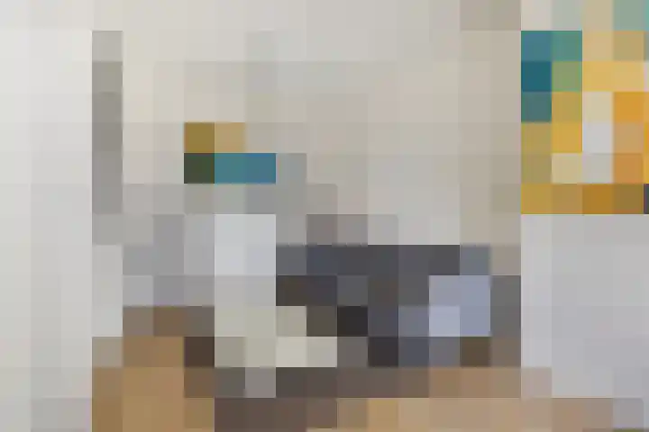Scheveningsestraat 10 B Rotterdam thumbnail 7