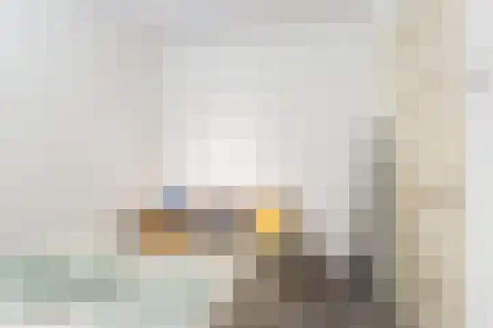 Scheveningsestraat 10 C Rotterdam thumbnail 10
