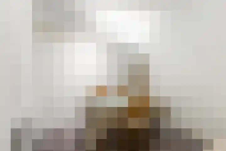 Scheveningsestraat 10 C Rotterdam thumbnail 11