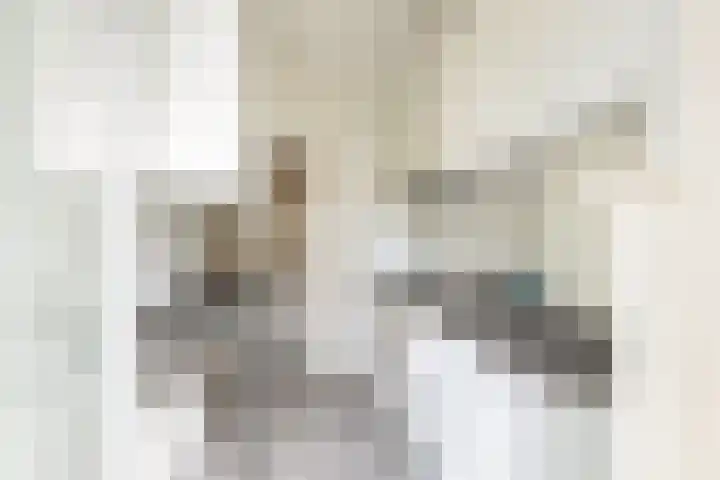 Scheveningsestraat 10 C Rotterdam thumbnail 14