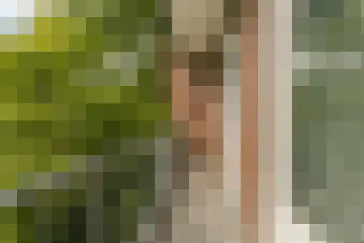 Scheveningsestraat 10 C Rotterdam thumbnail 16