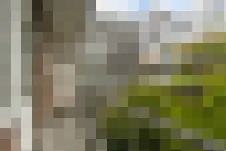 Scheveningsestraat 10 C Rotterdam thumbnail 17