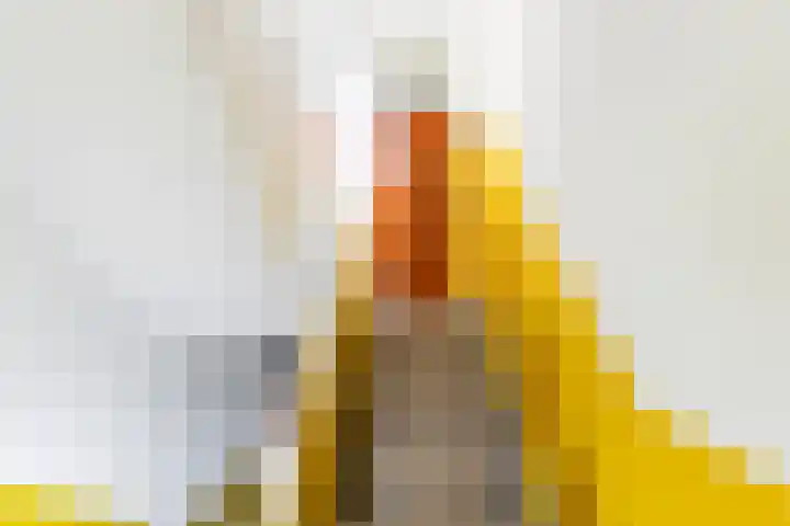 Scheveningsestraat 10 C Rotterdam thumbnail 5