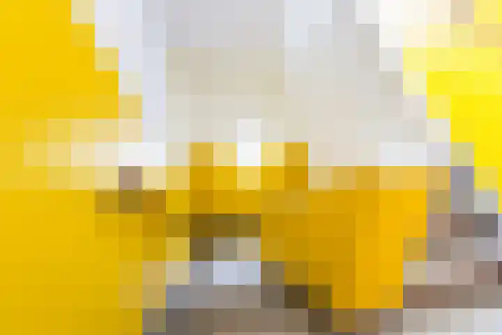 Scheveningsestraat 10 C Rotterdam thumbnail 6
