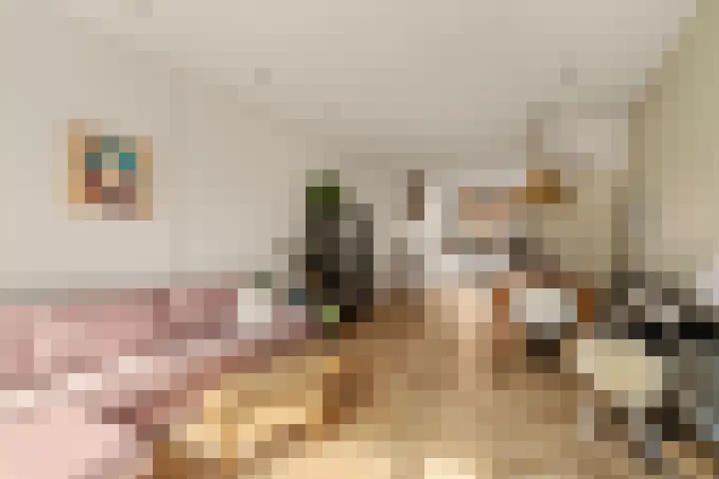 Scheveningsestraat 31 Noordwijk thumbnail 10