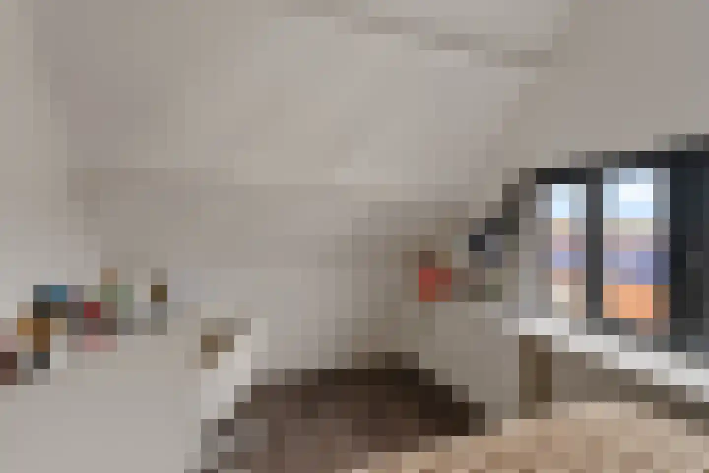 Scheveningsestraat 31 Noordwijk thumbnail 27
