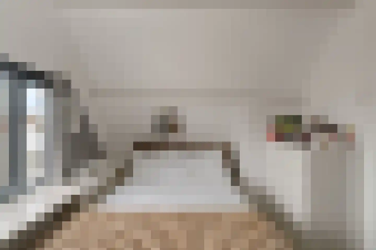 Scheveningsestraat 31 Noordwijk thumbnail 29