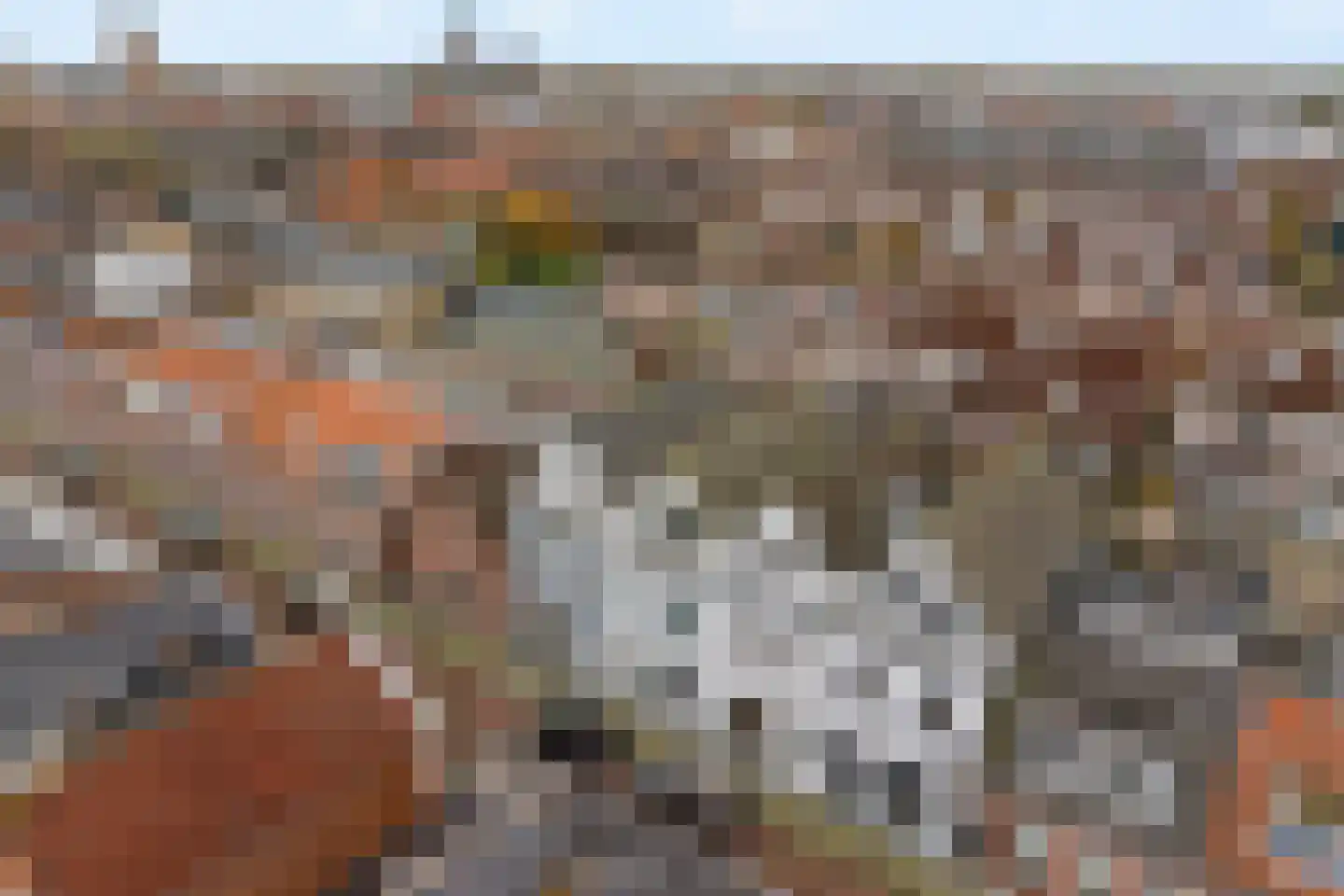 Scheveningsestraat 31 Noordwijk thumbnail 35