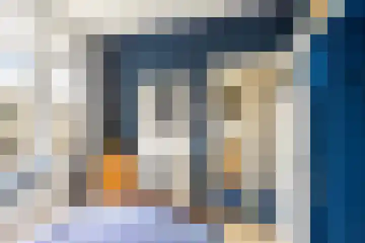 Scheveningsestraat 8 A Rotterdam thumbnail 15
