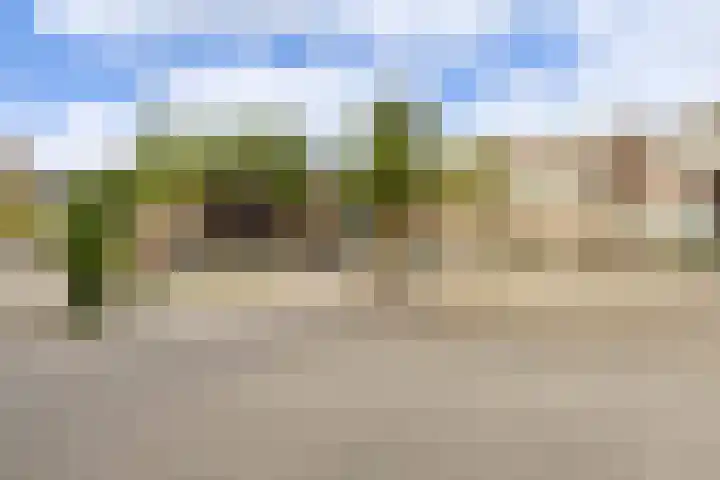 Scheveningsestraat 8 A Rotterdam thumbnail 32
