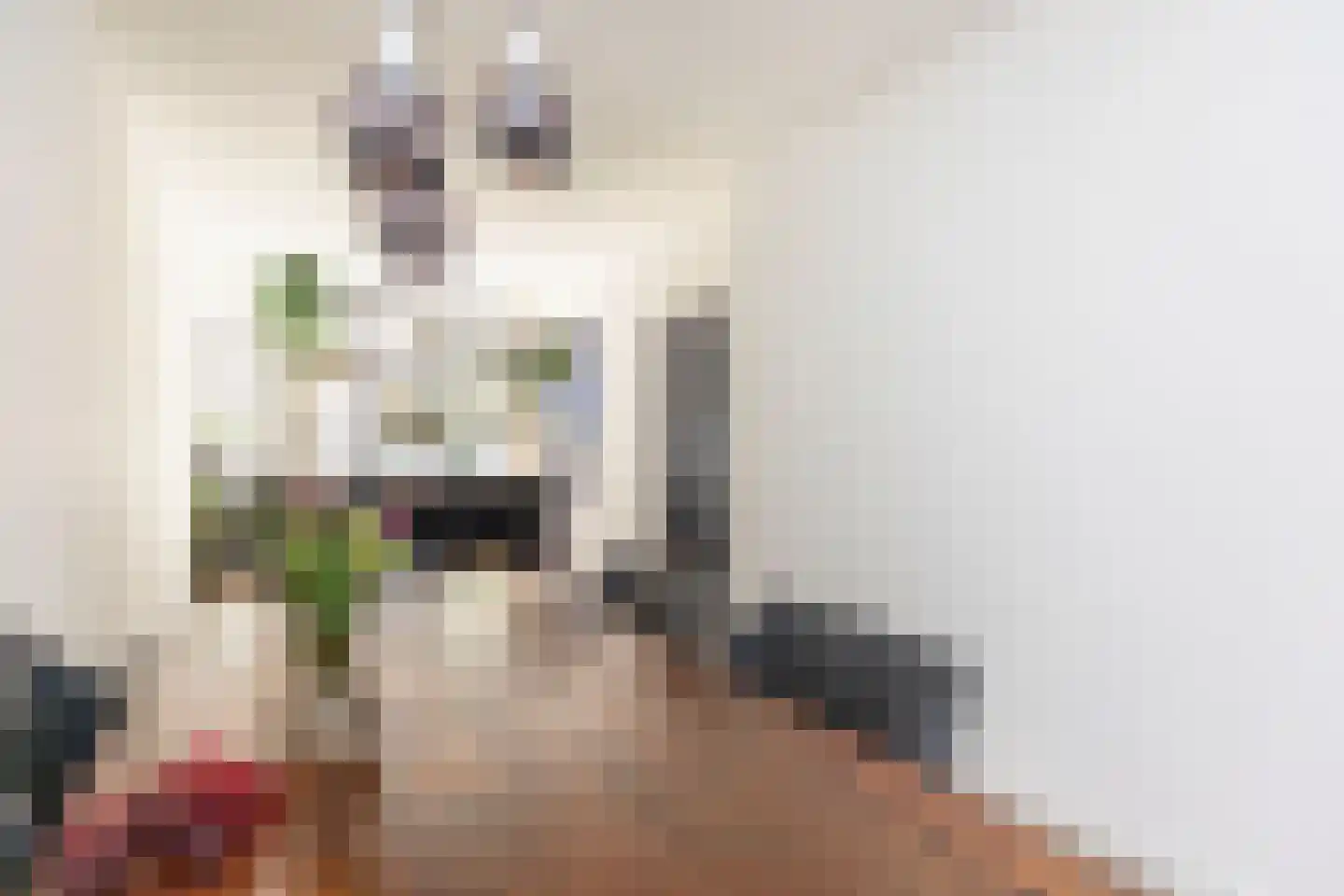 Scheveningsestraat 8 B Rotterdam thumbnail 10