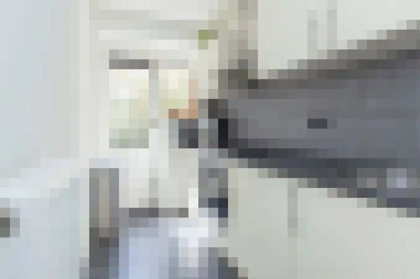 Scheveningsestraat 8 B Rotterdam thumbnail 13