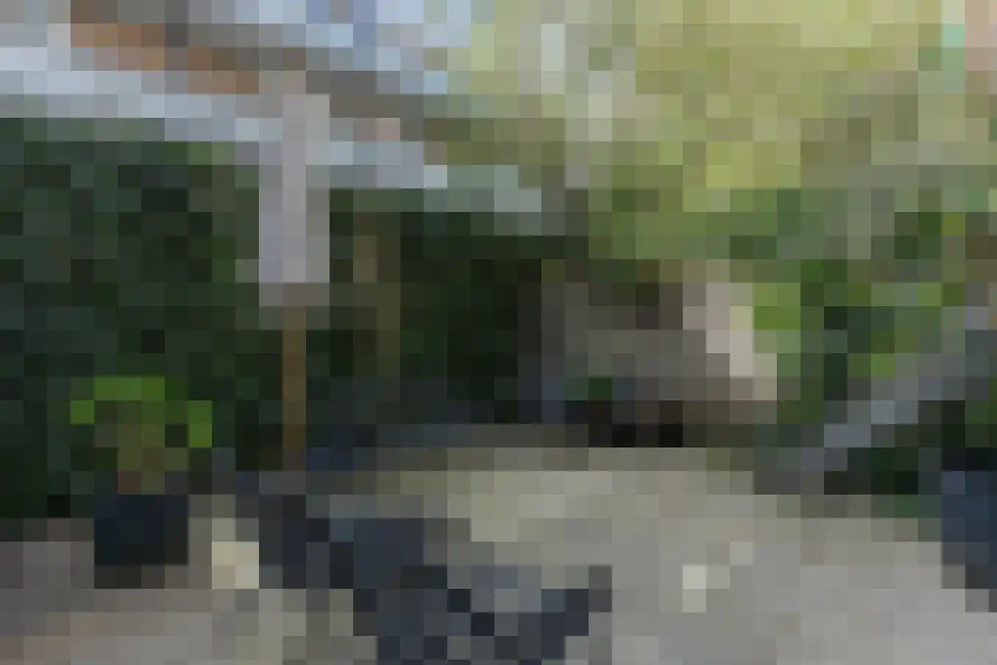 Scheveningsestraat 8 B Rotterdam thumbnail 6