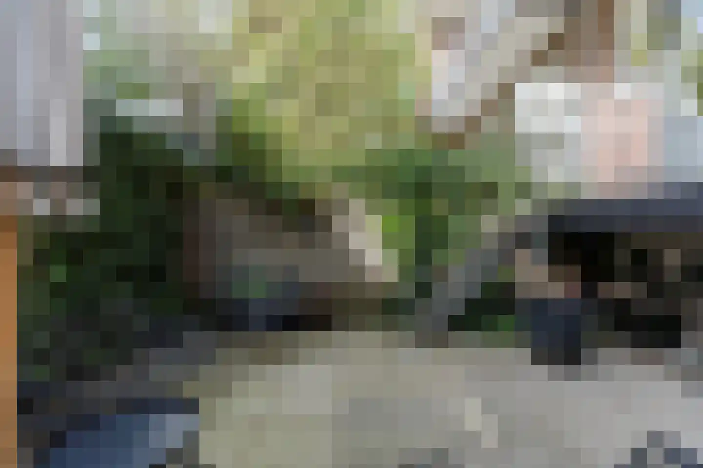 Scheveningsestraat 8 C Rotterdam thumbnail 5