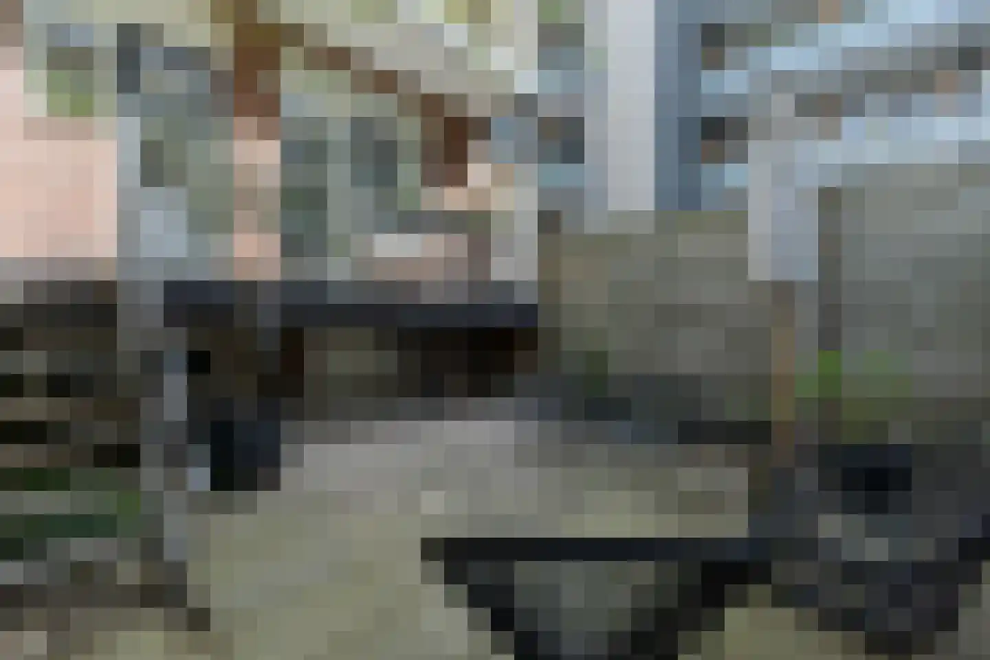 Scheveningsestraat 8 C Rotterdam thumbnail 7