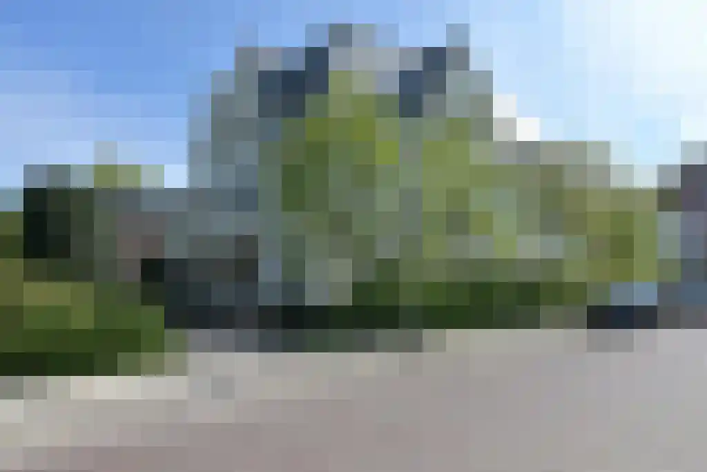 Scheveningseweg 110 F Den Haag thumbnail 6